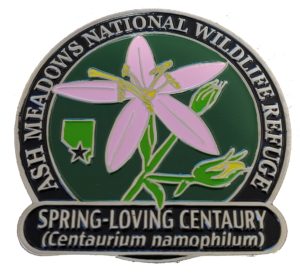 Ash Meadows Flower Magnet