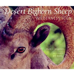 Desert Bighorn Sheep - Wilderness Icon