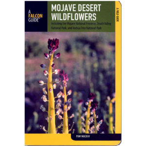 Mojave Desert Wildflowers - Globe