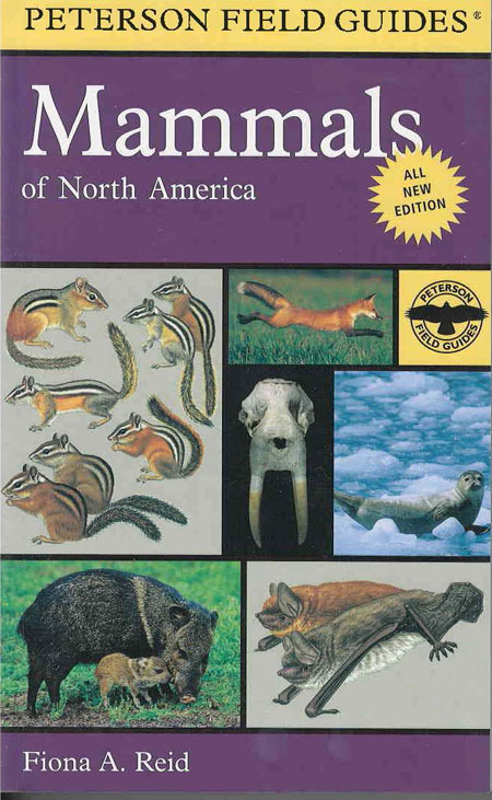 Mammals of North America – Death Valley Natural History Association