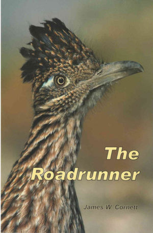 The Roadrunner