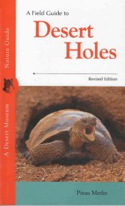 Desert Holes