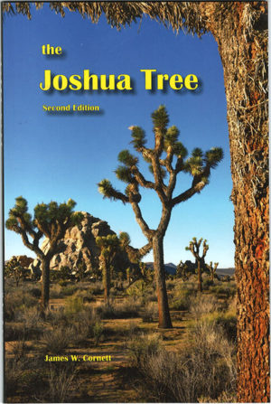 the Jushua Tree