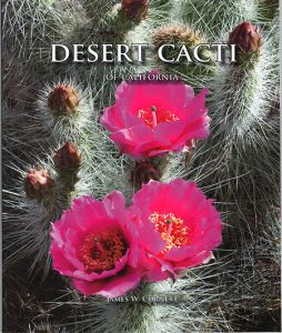 Desert Cacti of California