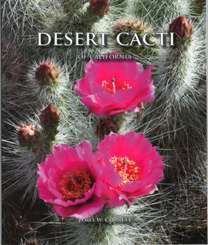 Desert Cacti of California