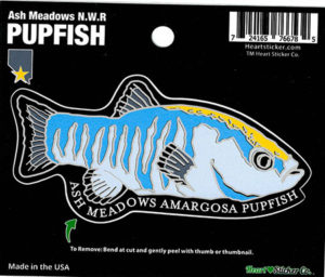 Ash Meadow N.W.R Pupfish Sticker