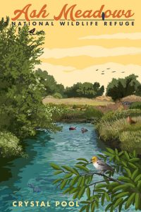 Ash Meadows National Wildlife Refuge Crystal Pool Print