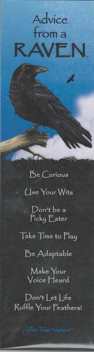 Advice from a Raven Bookmark