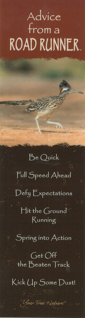 Advice from a Roadrunner Bookmark