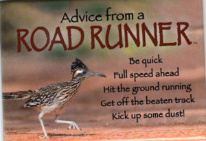 Advice froe a Roadrunner Maganet