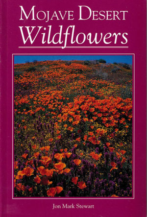 Mojave Desert Wildflowers