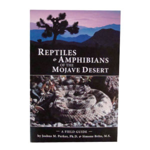 Reptiles and Amphibians of the Mojave Desert