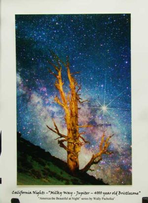 Milky Way-Jupiter-4000 year old Bristlecone Notecard