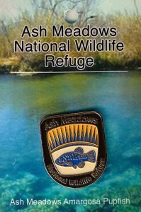Ash Meadows Shield Pin