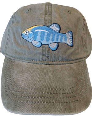 Pupfish Hat