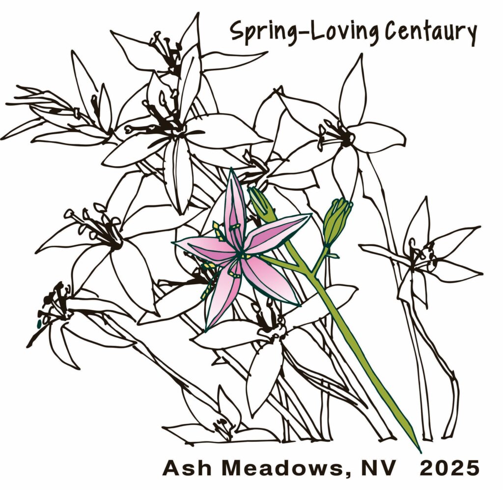 Women’s Ash Meadows Wildflower T-Shirt – Death Valley Natural History ...