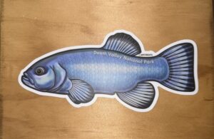 Devils Hole Pupfish Sticker